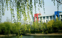 鹽城幼兒師范高等專科學(xué)校 - 我的大學(xué)