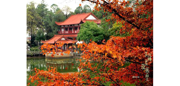 我的大學(xué)-大學(xué)志