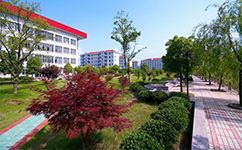 浙江宇翔職業(yè)技術(shù)學院 - 我的大學