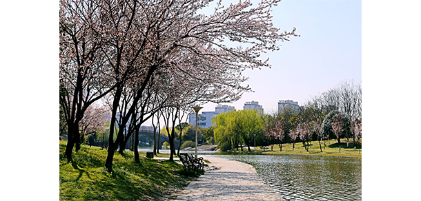 安徽工程大學 - 最美大學