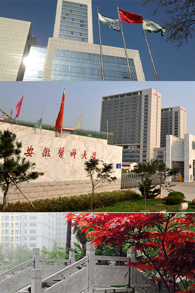 安徽醫(yī)科大學 - 流金歲月