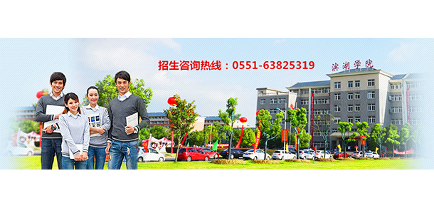 合肥濱湖職業(yè)技術(shù)學院 - 最美大學