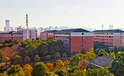 合肥濱湖職業(yè)技術(shù)學院 - 我的大學
