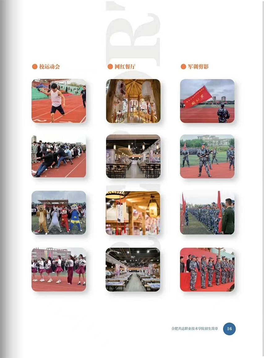 合肥共達(dá)職業(yè)技術(shù)學(xué)院－2024年分類(lèi)考試招生宣傳冊(cè)