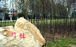 安徽旅游職業(yè)學院 - 我的大學