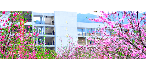 龍巖學院 - 最美大學