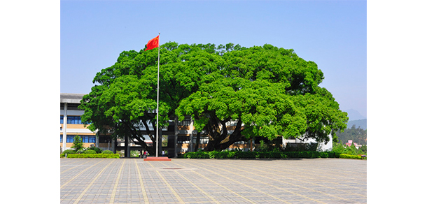 龍巖學院 - 最美大學