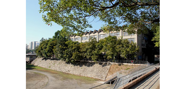 福建幼兒師范高等?？茖W(xué)校 - 最美大學(xué)