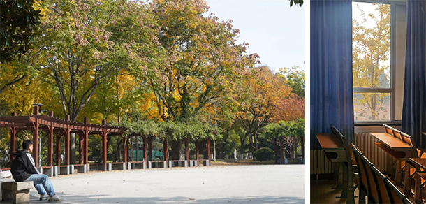 山東農(nóng)業(yè)大學