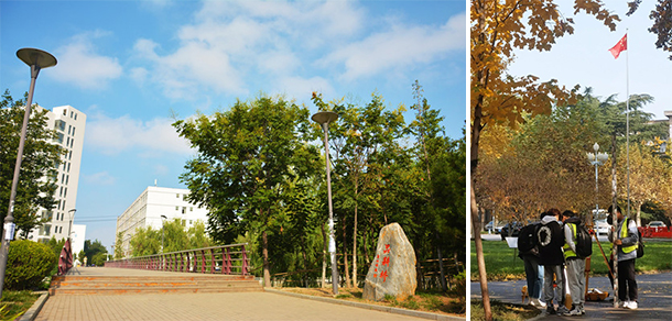 山東農(nóng)業(yè)大學