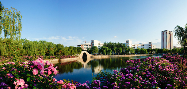 我的大學-大學志