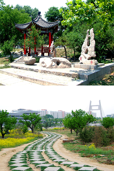 山東第一醫(yī)科大學-流金歲月