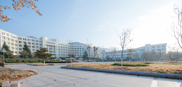 我的大學(xué)-大學(xué)志