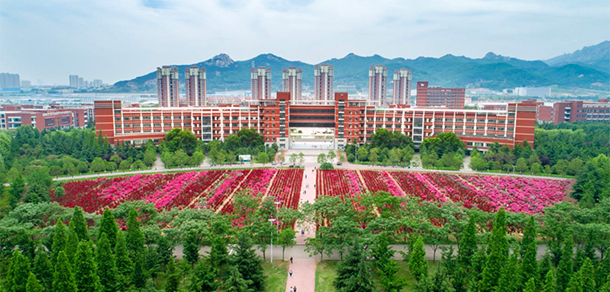 我的大學(xué)-大學(xué)志