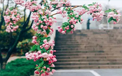 歷史沿革（概）校史