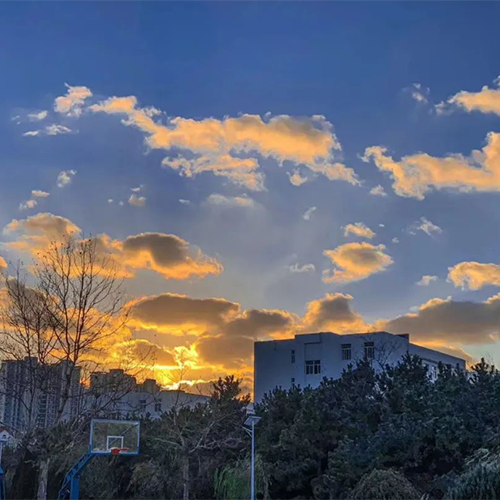 青島大學(xué)-大學(xué)文化