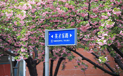 歷史沿革(概)校史