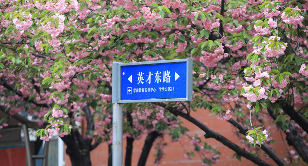 時(shí)光匆匆，歲月如歌！——珍惜自己最美好的時(shí)光，珍惜時(shí)下，放肆而不張揚(yáng)的青春年華。