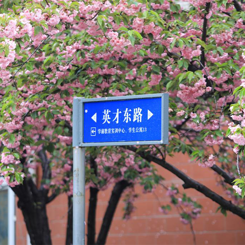 我的大學(xué)