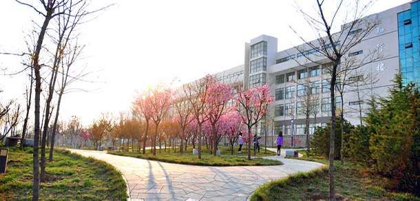 我的大學(xué)-大學(xué)志
