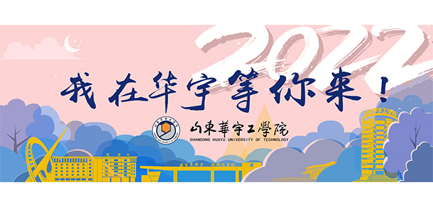 山東華宇工學院