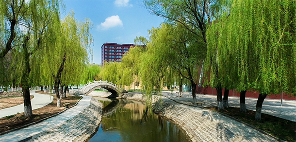 山東華宇工學院