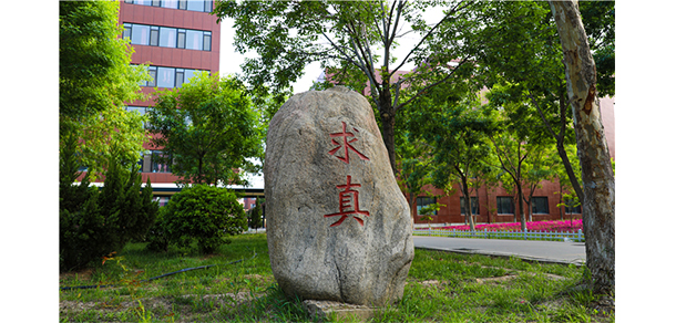 山東華宇工學院