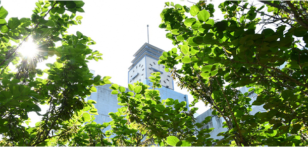 濟南大學 - 最美大學