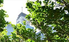 濟南大學 - 我的大學