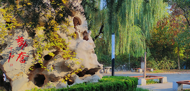 我的大學(xué)-大學(xué)志