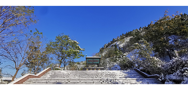 我的大學(xué)-大學(xué)志