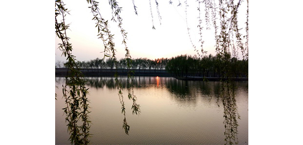 我的大學(xué)-大學(xué)志