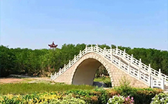 歷史沿革(概)校史