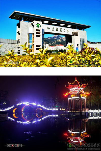 歲月流金 · 青春不散場