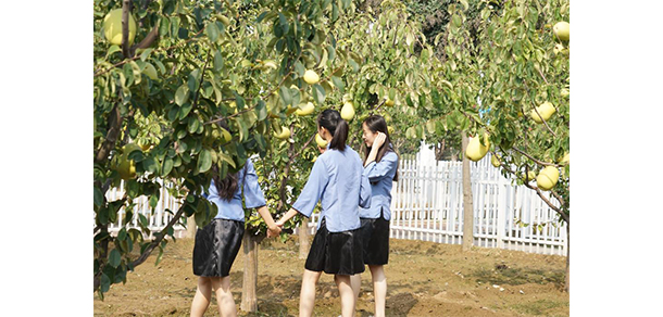 菏澤醫(yī)學(xué)?？茖W(xué)校 - 最美大學(xué)