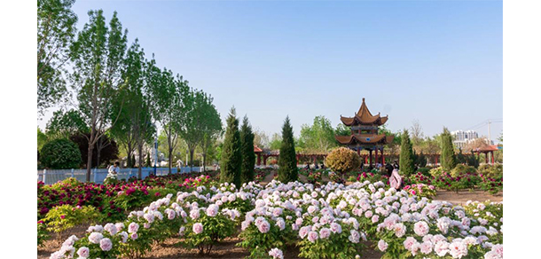 菏澤醫(yī)學(xué)?？茖W(xué)校 - 最美大學(xué)