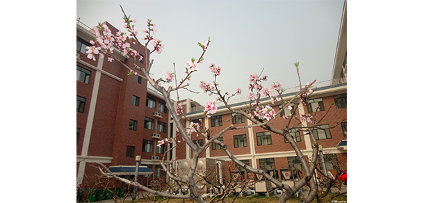 山東力明科技職業(yè)學院