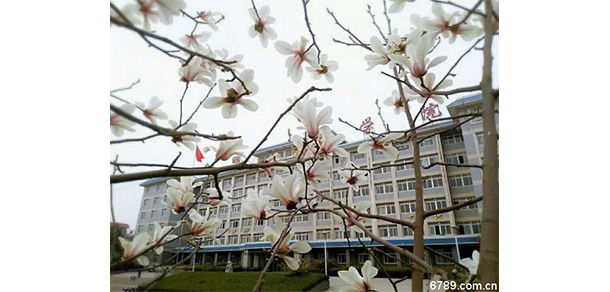 山東力明科技職業(yè)學院