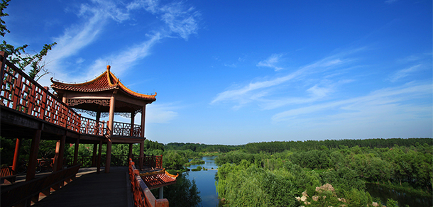 我的大學(xué)-大學(xué)志