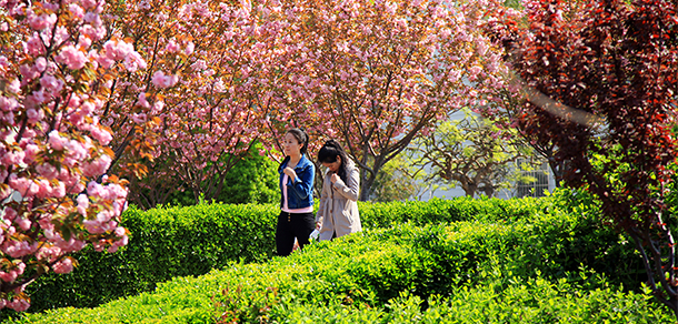 我的大學(xué)-大學(xué)志