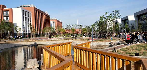 我的大學(xué)-大學(xué)志