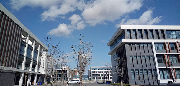 我的大學(xué)-大學(xué)志