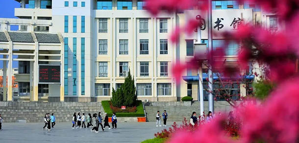 泰山職業(yè)技術學院