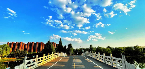 泰山職業(yè)技術學院