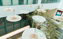 歷史沿革(概)校史