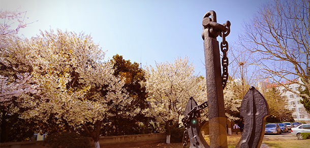 我的大學(xué)-大學(xué)志