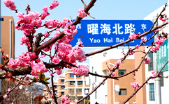 歷史沿革(概)校史