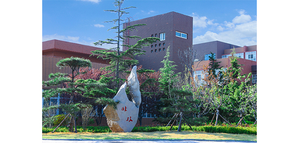 我的大學(xué)-大學(xué)志