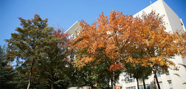 我的大學(xué)-大學(xué)志