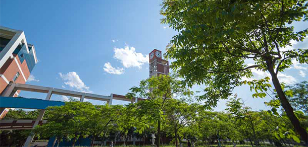我的大學(xué)-大學(xué)志